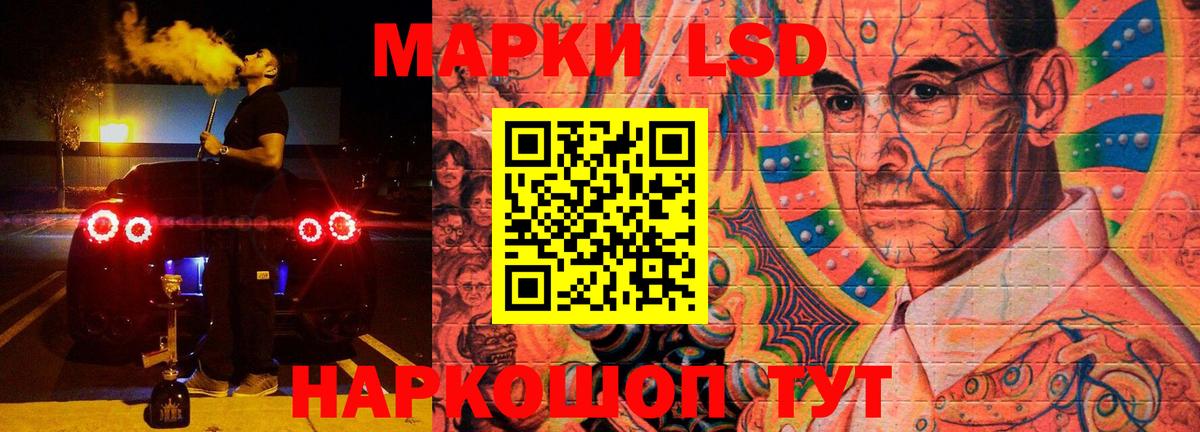Бошки Шишки Новодвинск