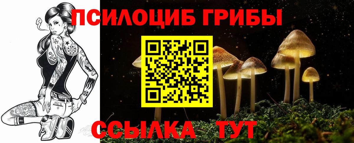 Псилоцибиновые грибы прущие грибы  Вход с VPN  Новодвинск 
